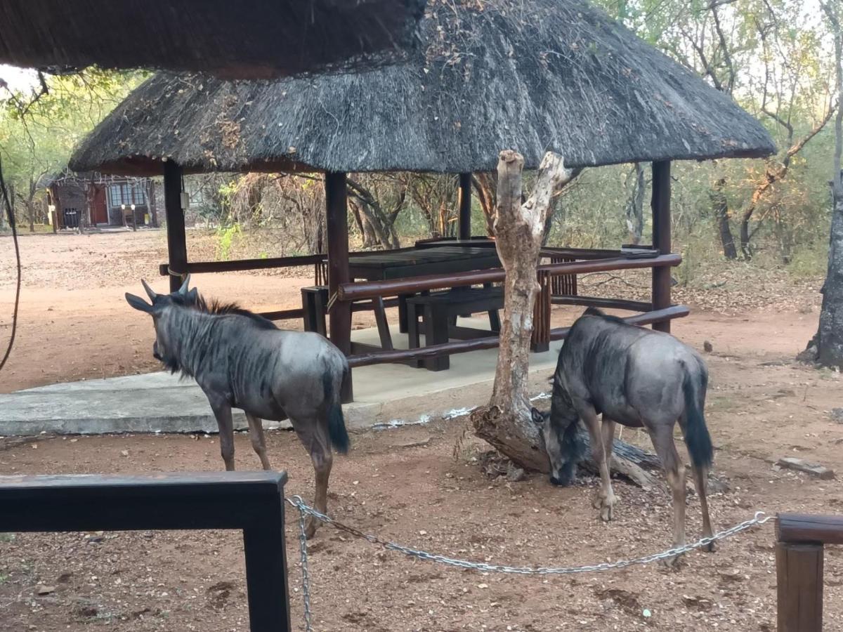 South Safari Lodge Marloth Park Eksteriør billede