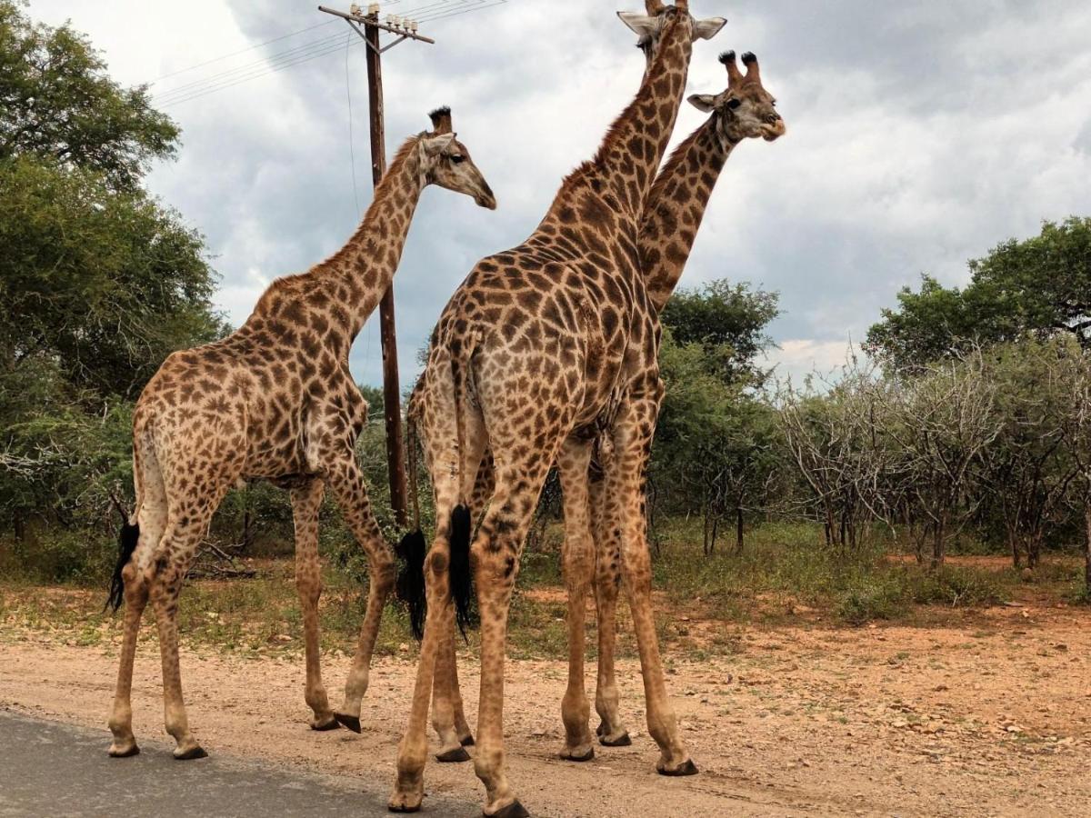 South Safari Lodge Marloth Park Eksteriør billede