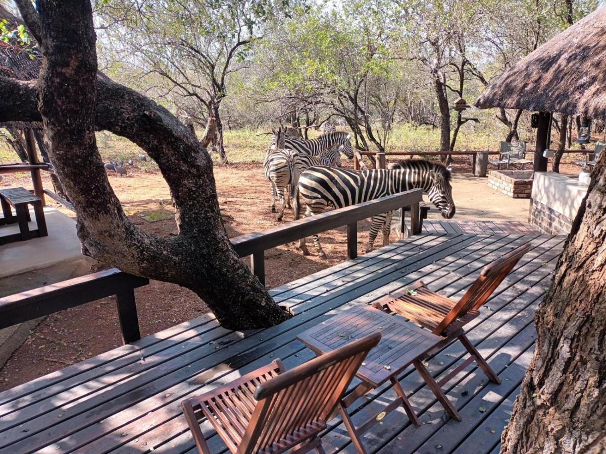 South Safari Lodge Marloth Park Eksteriør billede